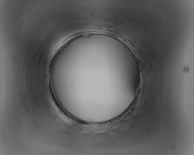 X0000088870005200707061357