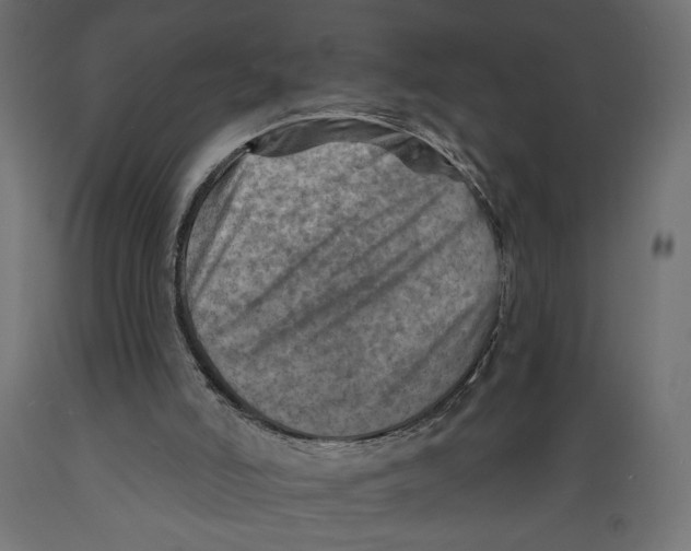 X0000088870006200707061357