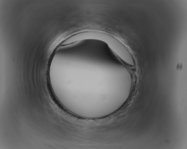 X0000088870007200707061357