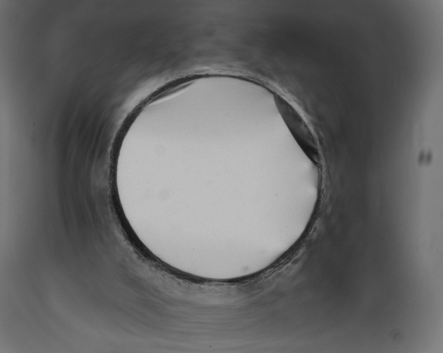 X0000088870008200707061357
