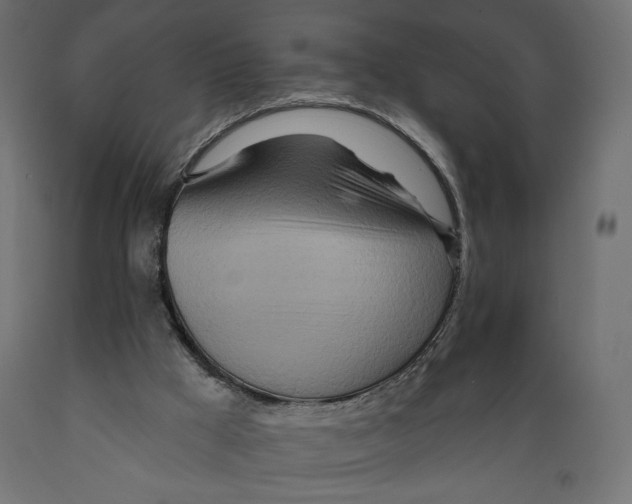 X0000088870009200707061357