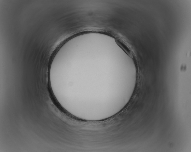 X0000088870011200707061357
