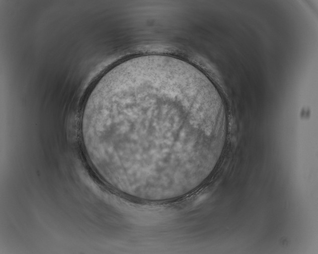 X0000088870012200707061357