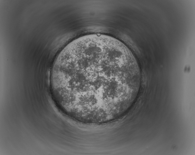 X0000088870014200707061357