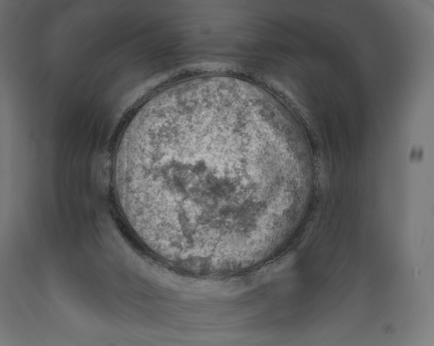X0000088870016200707061357