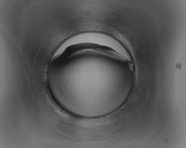 X0000088870017200707061357