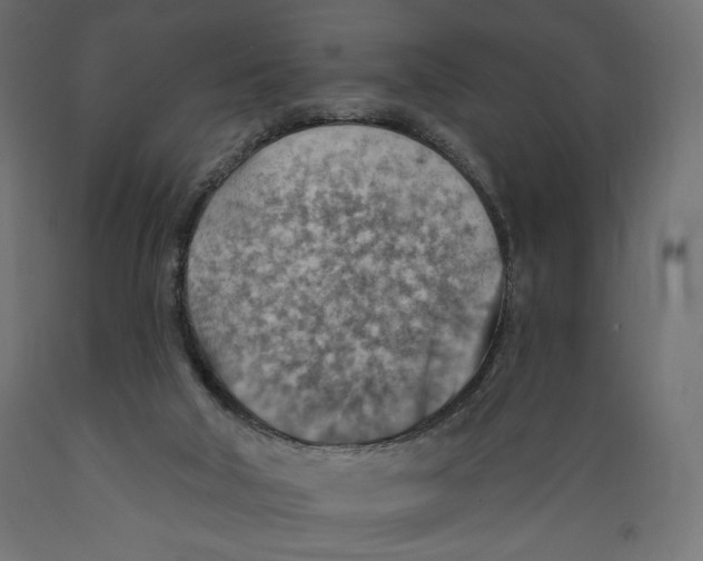 X0000088870018200707061357