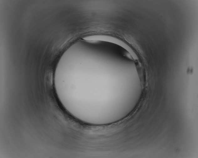 X0000088870021200707061357