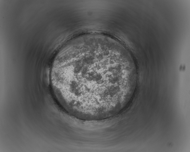 X0000088870022200707061357