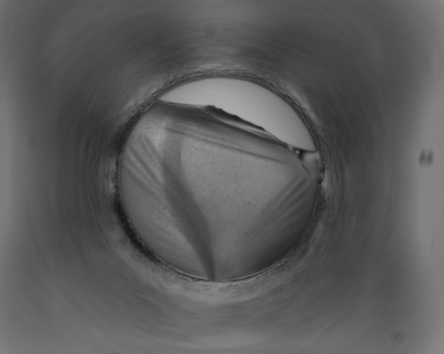 X0000088870023200707061357