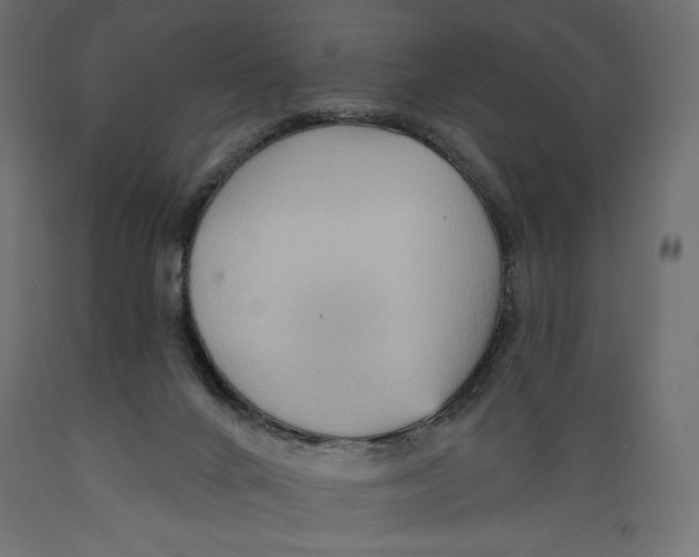 X0000088870024200707061357