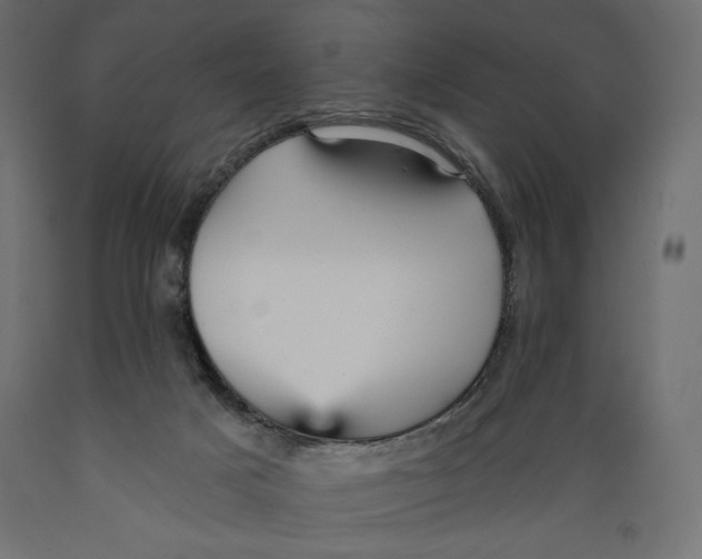 X0000088870025200707061357
