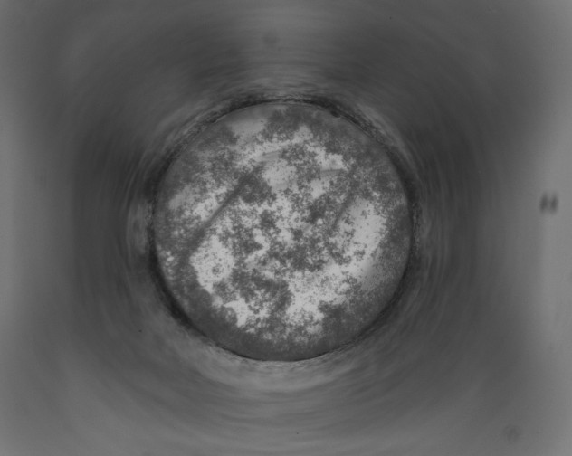 X0000088870026200707061357