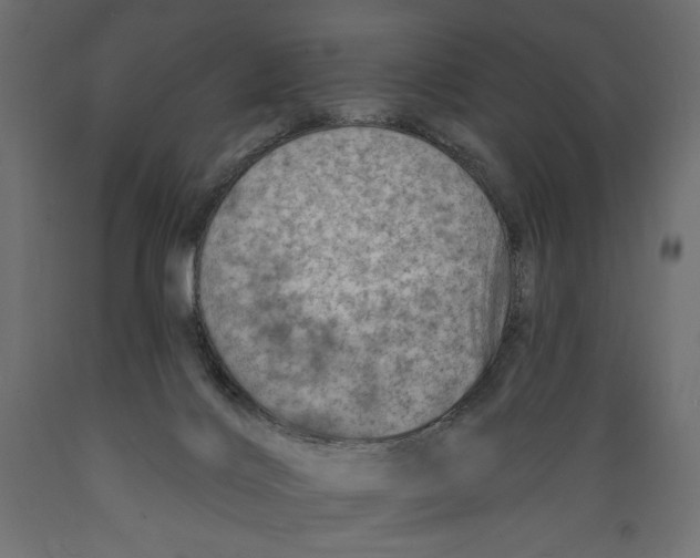 X0000088870028200707061357