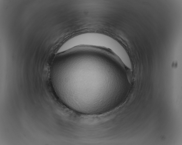 X0000088870029200707061357