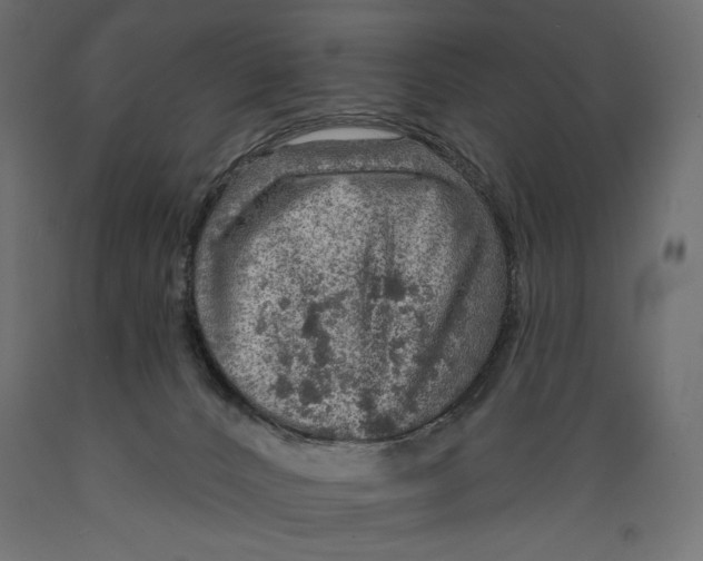 X0000088870032200707061357