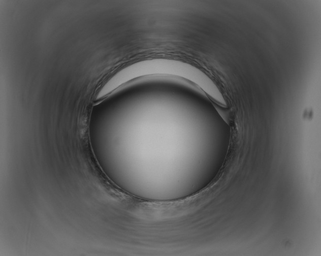 X0000088870033200707061357