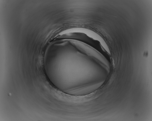 X0000088870035200707061357