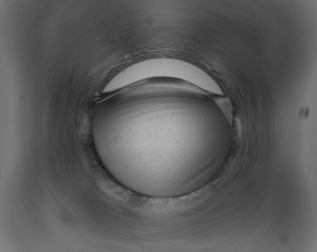 X0000088870037200707061357