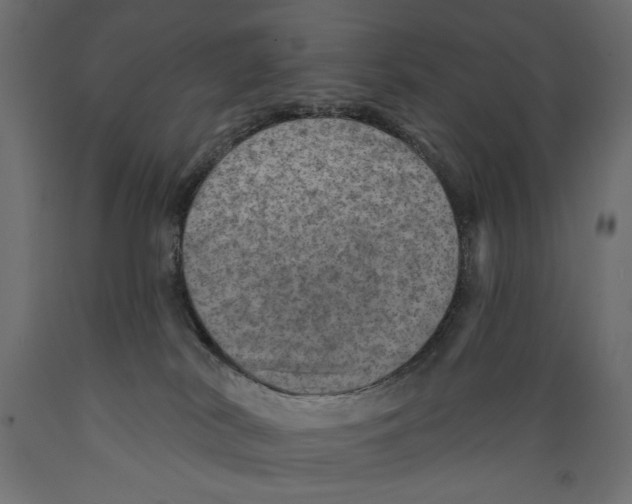 X0000088870038200707061357