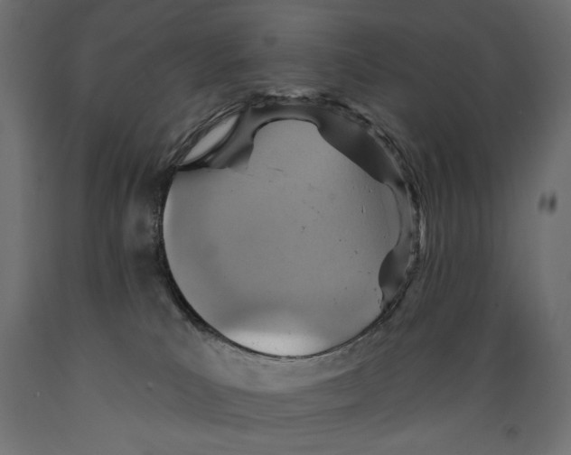 X0000088870039200707061357