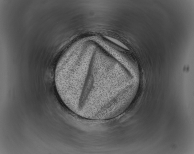 X0000088870040200707061357