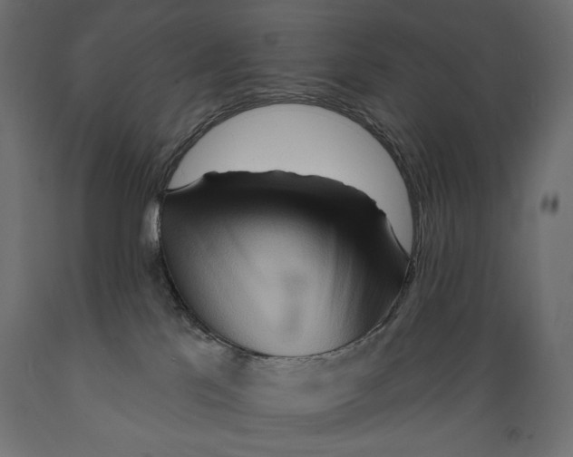 X0000088870041200707061357