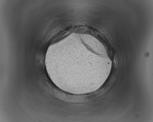 X0000088870044200707061357
