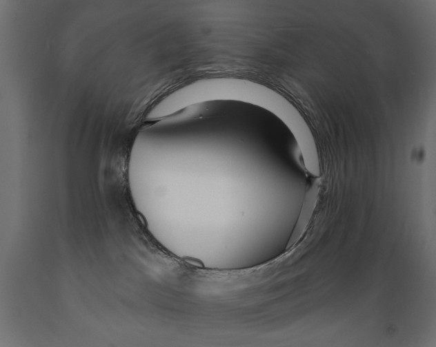 X0000088870045200707061357