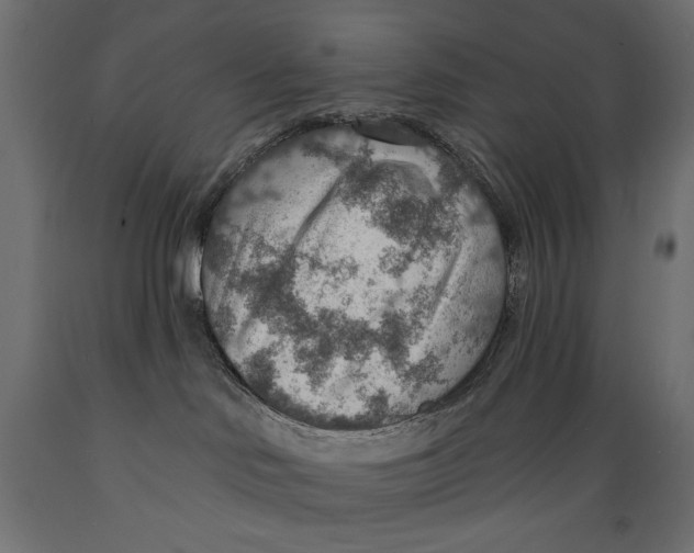 X0000088870046200707061357