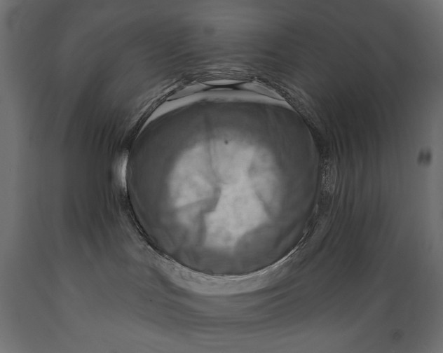 X0000088870047200707061357