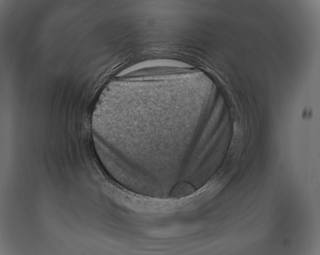 X0000088870048200707061357