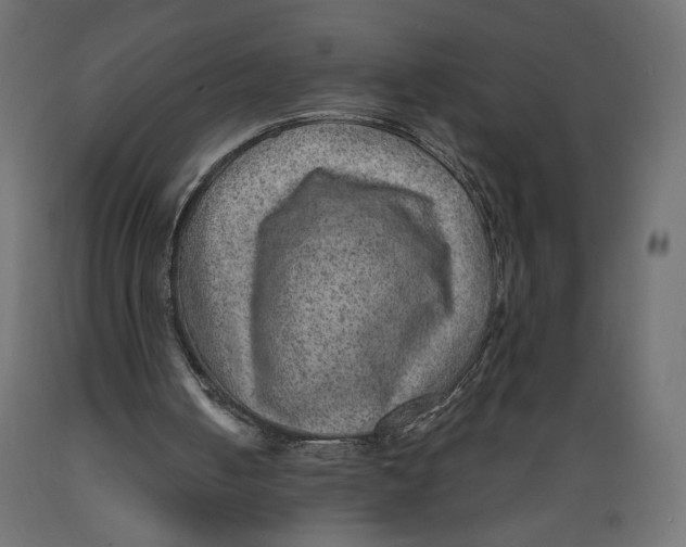 X0000088870050200707061356
