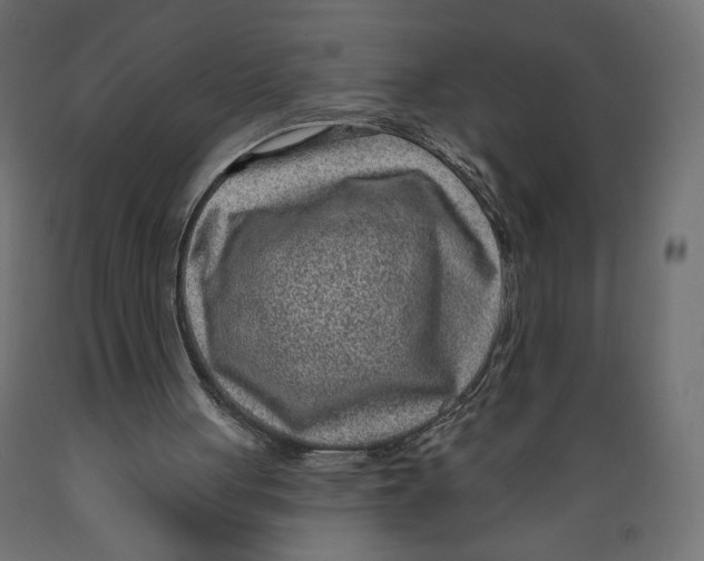 X0000088870051200707061356