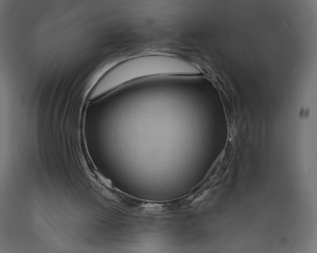 X0000088870052200707061356