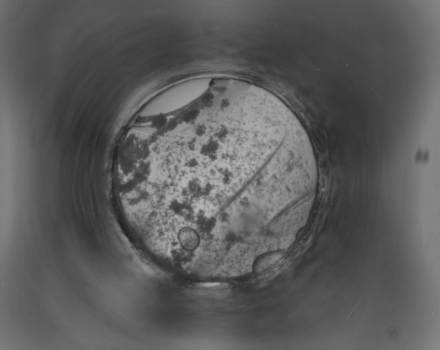 X0000088870053200707061356