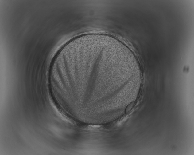 X0000088870055200707061356