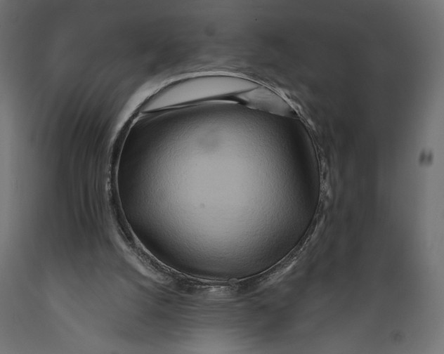 X0000088870056200707061356