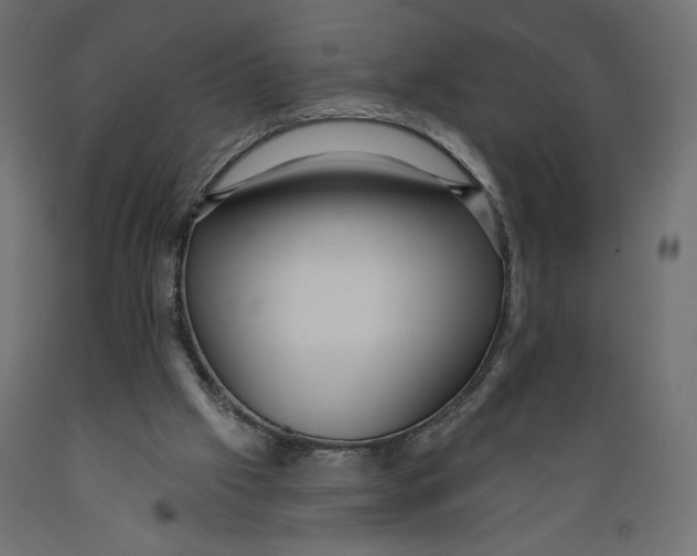 X0000088870057200707061356
