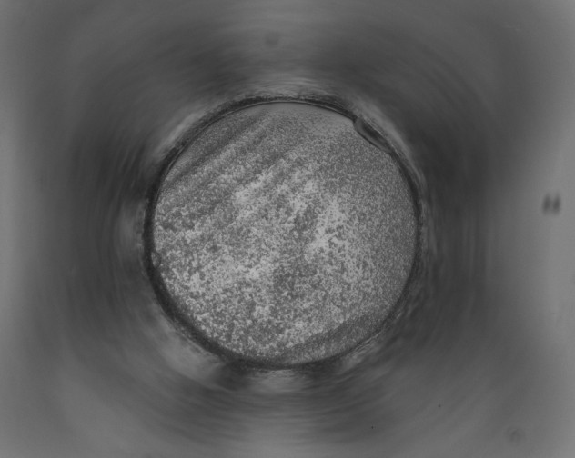 X0000088870058200707061356