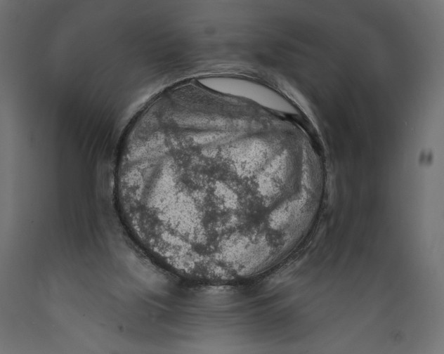 X0000088870059200707061356