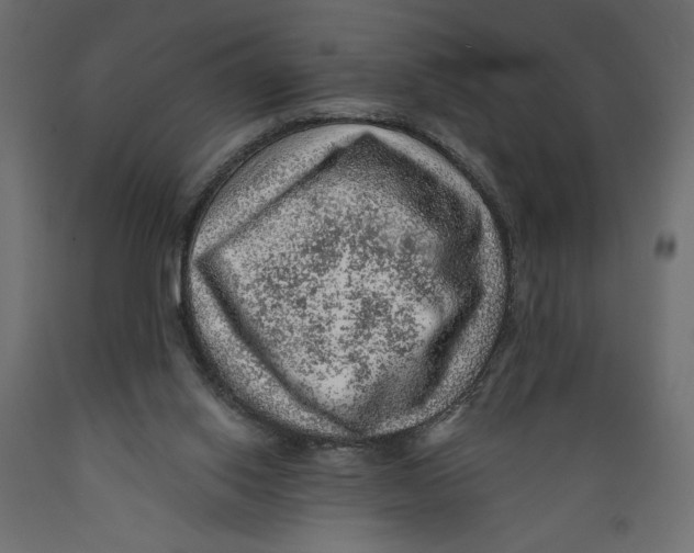 X0000088870062200707061356