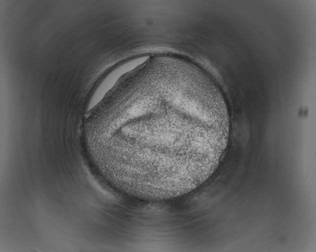 X0000088870063200707061356