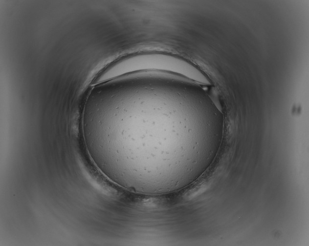 X0000088870064200707061356