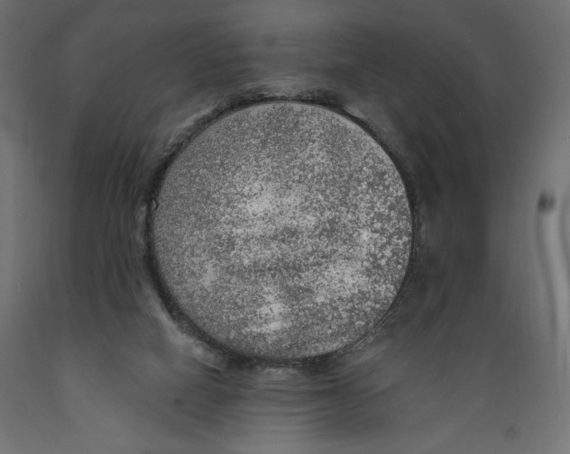 X0000088870066200707061356