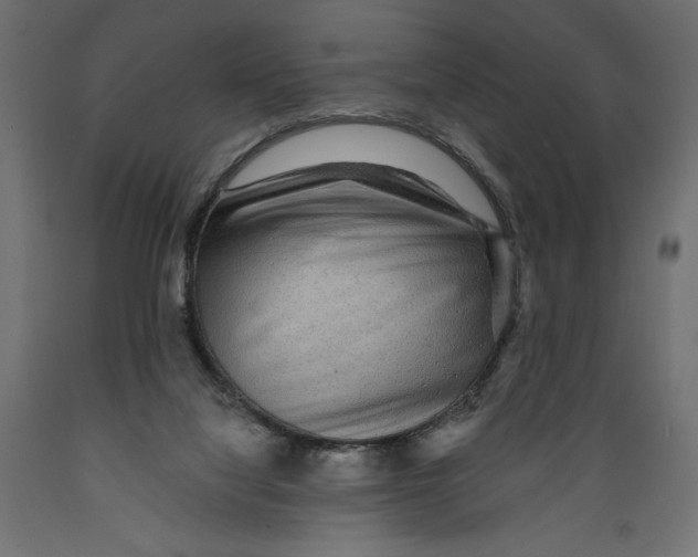 X0000088870068200707061356