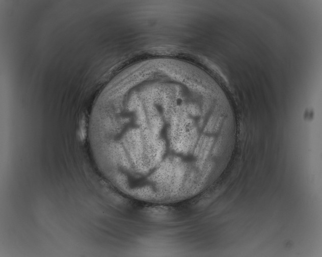 X0000088870069200707061356