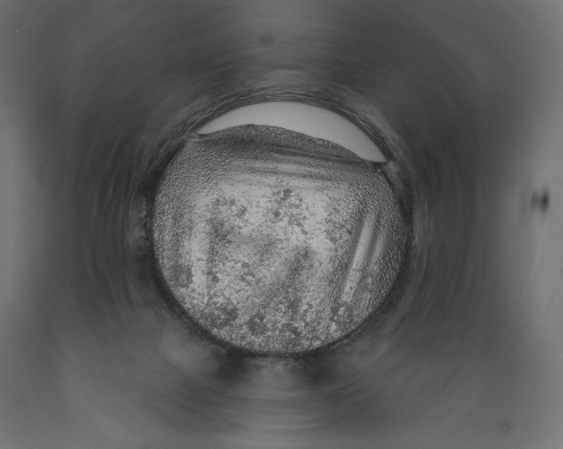 X0000088870073200707061356