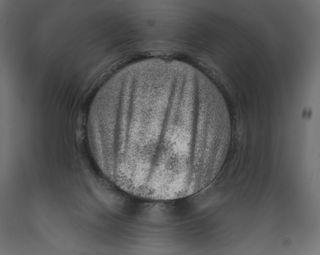 X0000088870074200707061356