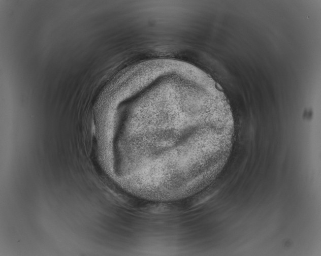 X0000088870075200707061356